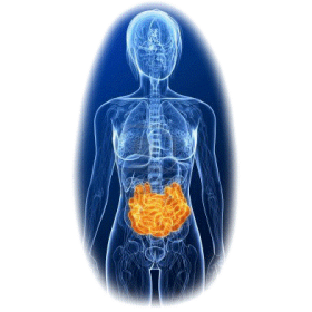 Parasites mélange en poudre Régénération