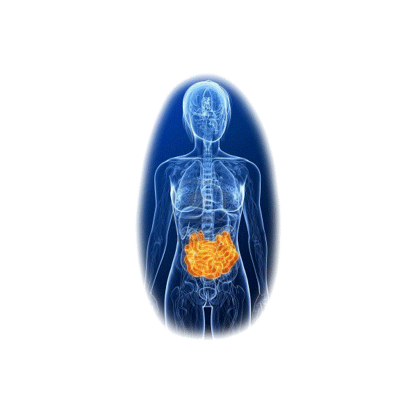 Parasites mélange en poudre Régénération