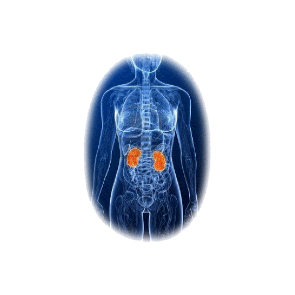 Reins & Rate mélange en poudre Régénération