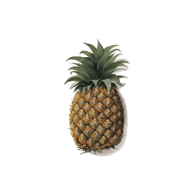 Ananas tige en gélules Pullulan, minceur et régime