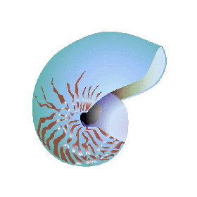 Magnesium marin Oligo-élément naturel en gélules