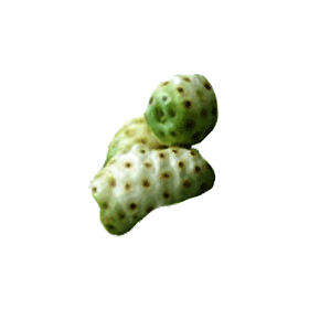 Noni Hawaïen fruits en gélules (Morinda citrifolia)