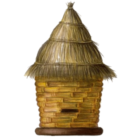 Propolis pure en extrait 18% en gélule Pullulan