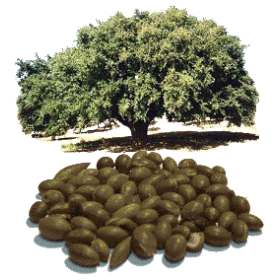 Huile végétale Argan Maroc Vierge Bio - ABC de la Nature : cosmétique bio