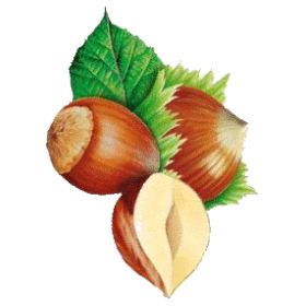 Huile végétale Vierge de Noisette Bio*