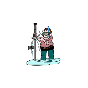 Rénal & Urinaire mélange d'huiles essentielles pures