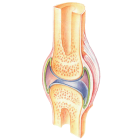 Articulations & muscles HQ mélange en massage huiles essentielles bio