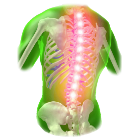 Rhumatismal HQ mélange en massage huiles essentielles bio