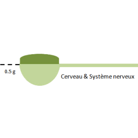 Cerveau & Système nerveux mélange en poudre Régénération