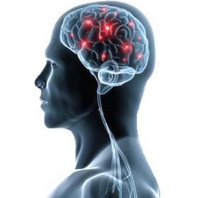 Memo+ mélange en gélules pour booster la mémoire