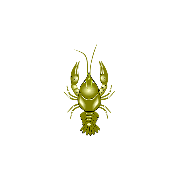 Chitosan Poudre de carapaces 100% origine naturelle