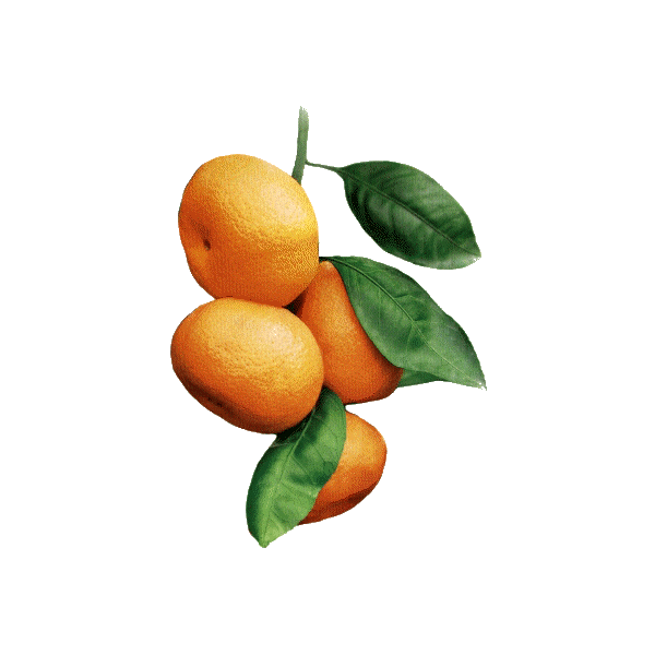 Huile essentielle Mandarine Jaune (Citrus reticulata Blanco)