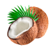 Huile végétale vierge de Coco Bio*