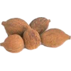 Triphala Bio en gélules, médecine ayurvédique