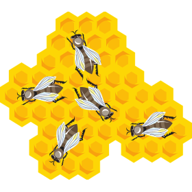 Propolis pure extrait concentré EC à 53%