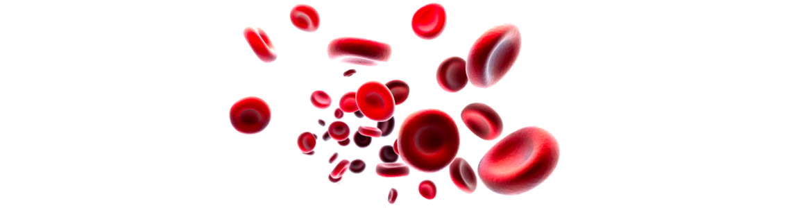 Sang sucres & cholestérol