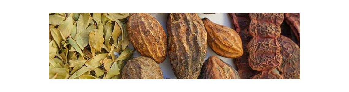 Plantes Ayurvédiques